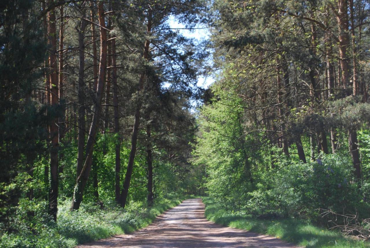 Szydlowiec Anastazewo ภายนอก รูปภาพ